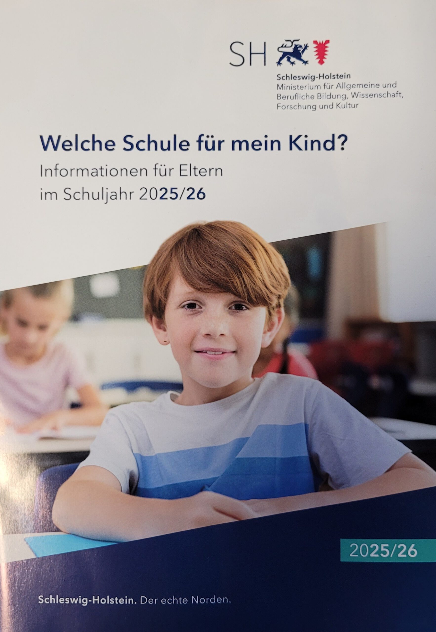 Mehr über den Artikel erfahren Welche Schule für mein Kind?