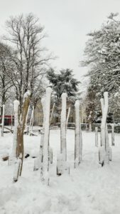 Mehr über den Artikel erfahren Alles Gute für das Jahr 2026