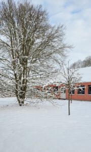 Mehr über den Artikel erfahren Schulausfall durch Schnee und Eis?